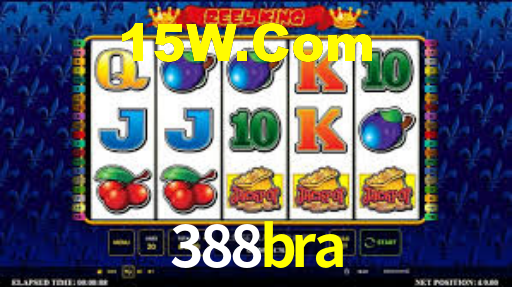 388bra App Interface