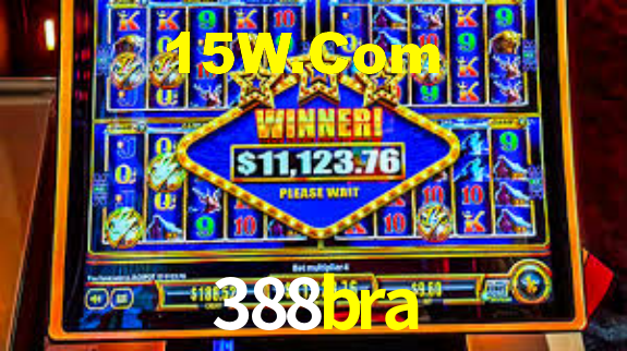 388bra App Interface